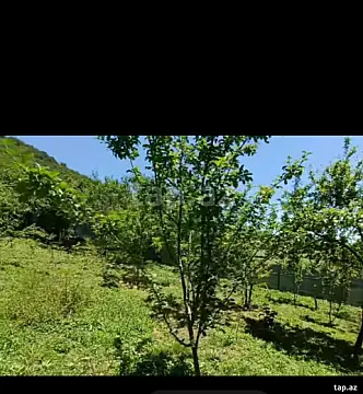 Satılır torpaq sahəsi — Qəbələ