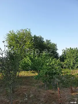 Satılır torpaq sahəsi — Bərdə