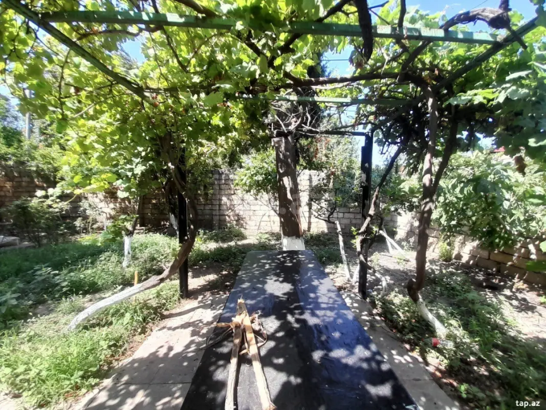 Kirayə verilir 3 otaqlı həyət evi 220 m²