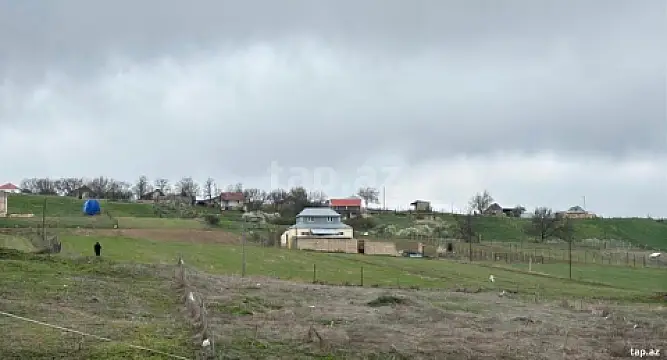 Satılır torpaq sahəsi — Şamaxı