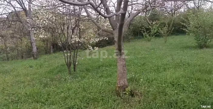 Satılır torpaq sahəsi — Quba