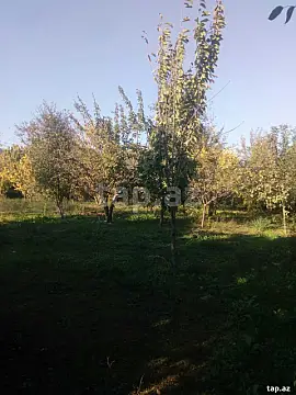 Satılır 4 otaqlı həyət evi 80 m² — Sabirabad 4 otaq 80.00 m²