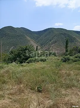 Satılır torpaq sahəsi — Goranboy