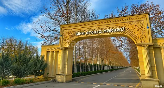 Satılır torpaq sahəsi — Bakı, Binə