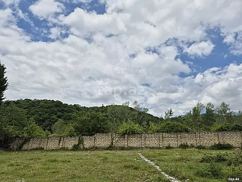 Satılır torpaq sahəsi — Qəbələ