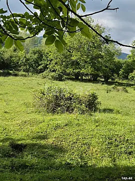 Satılır torpaq sahəsi — Qəbələ