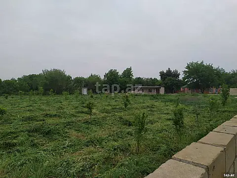 Satılır torpaq sahəsi — Tərtər