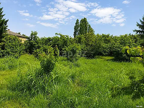 Satılır torpaq sahəsi — Xaçmaz