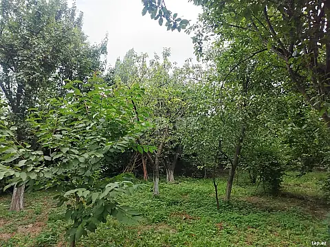 Satılır 6 otaqlı həyət evi 120 m² — Quba 6 otaq 120.00 m²