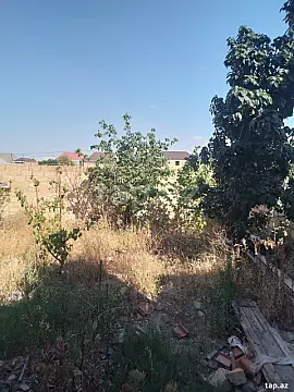 Satılır torpaq sahəsi — Gəncə