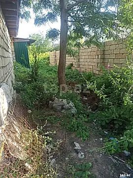 Satılır torpaq sahəsi — Lənkəran