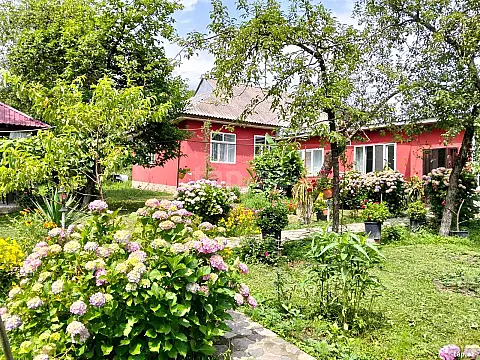 Kirayə verilir 3 otaqlı həyət evi 240 m² — Qəbələ 3 otaq 240.00 m²