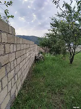 Satılır torpaq sahəsi — Qəbələ