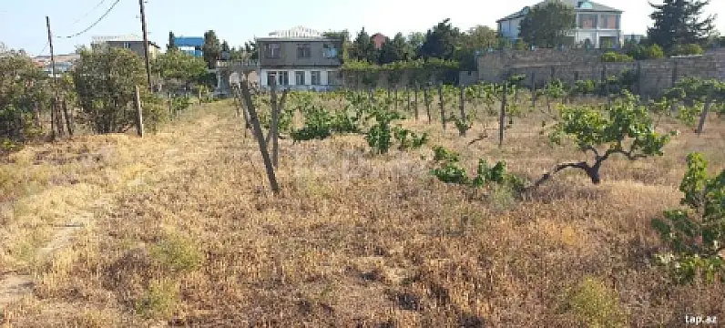 Satılır torpaq sahəsi — Bakı, Novxanı