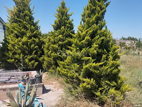 Satılır torpaq sahəsi — Bakı, Bilgəh