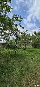 Satılır torpaq sahəsi — İsmayıllı