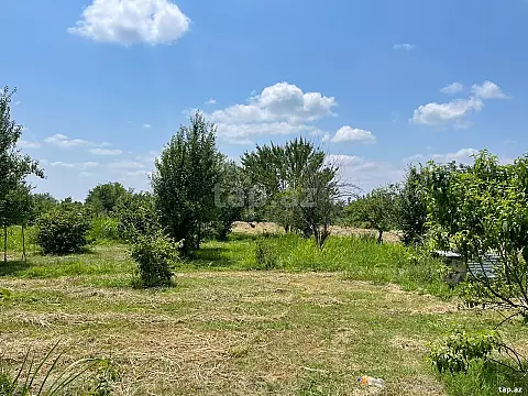 Satılır torpaq sahəsi — Qəbələ