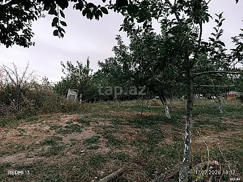 Satılır torpaq sahəsi — Şamaxı