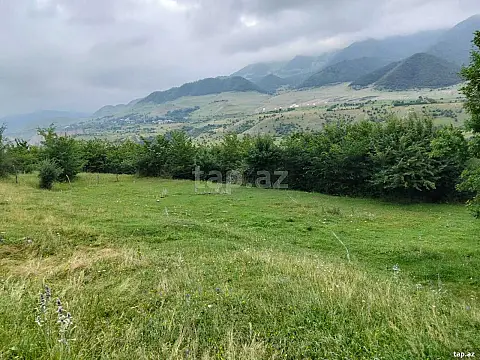 Satılır torpaq sahəsi — Qusar