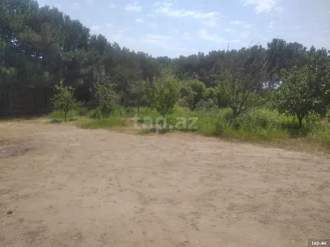 Satılır torpaq sahəsi — Bakı, Buzovna