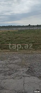 Satılır torpaq sahəsi — Xaçmaz