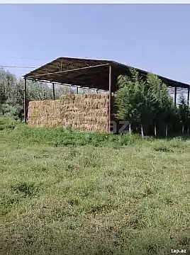 Satılır obyekt — Salyan