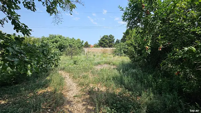 Satılır torpaq sahəsi — Bakı, Novxanı
