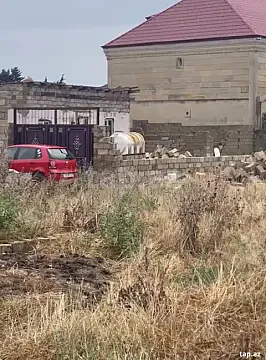 Satılır 2 otaqlı həyət evi 400 m² — Bakı, Ramana 2 otaq 400.00 m²