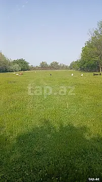 Satılır torpaq sahəsi — Ağdaş