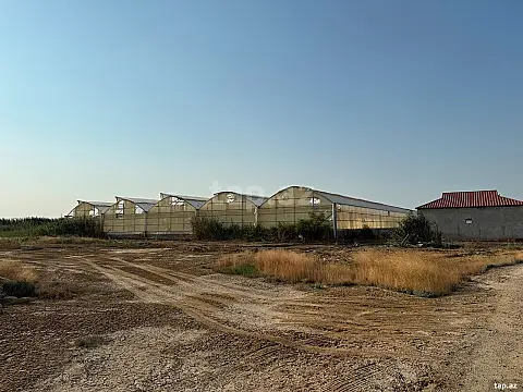 Satılır torpaq sahəsi — Salyan