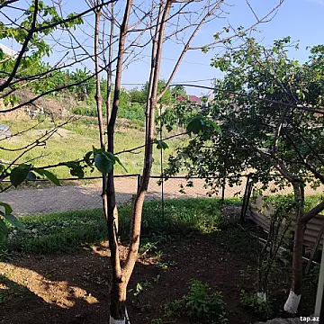 Satılır 2 otaqlı həyət evi 11 m² — Bakı 2 otaq 11.00 m²