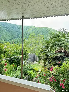 Satılır 10 otaqlı həyət evi 10.2 m² — Şəki 10 otaq 10.20 m²