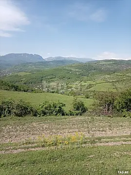 Satılır torpaq sahəsi — Quba