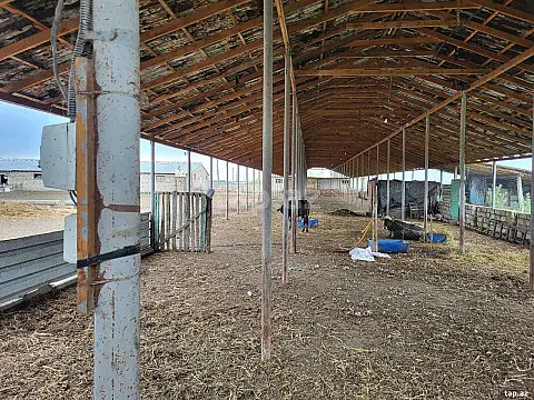 Satılır obyekt — Göyçay