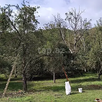 Satılır torpaq sahəsi — Qax
