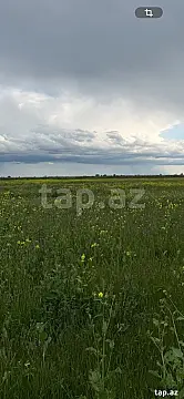 Satılır torpaq sahəsi — Sabirabad