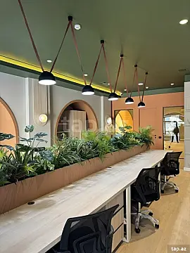 Kirayə verilir ofis — Bakı, Sahil qəs.