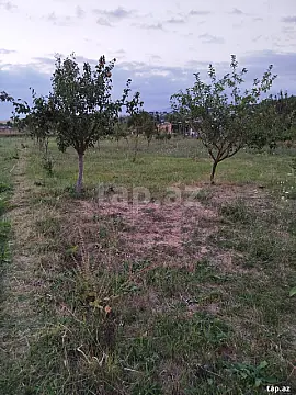 Satılır 4 otaqlı həyət evi 110 m² — İsmayıllı 4 otaq 110.00 m²