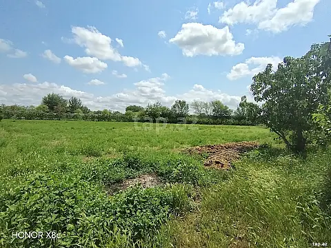 Satılır torpaq sahəsi — Sabirabad