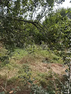 Satılır torpaq sahəsi — Quba