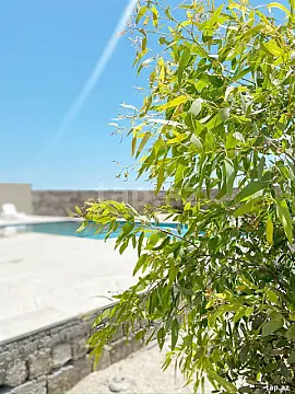 Kirayə verilir 3 otaqlı həyət evi 250 m² — Bakı, Türkan 3 otaq 250.00 m²