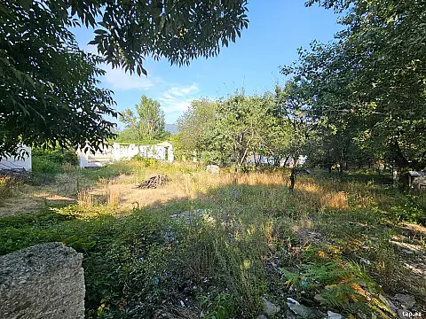 Satılır torpaq sahəsi — Qəbələ