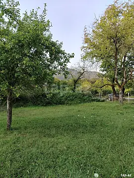Satılır torpaq sahəsi — Qəbələ