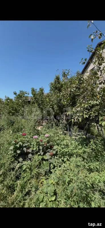 Satılır 5 otaqlı həyət evi 300 m²
