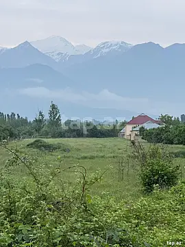 Satılır torpaq sahəsi — Qəbələ