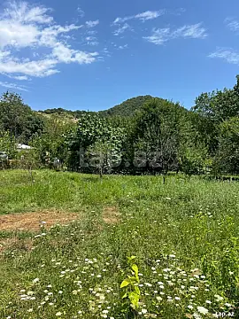 Satılır torpaq sahəsi — Qəbələ