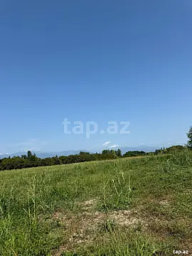 Satılır torpaq sahəsi — Qax