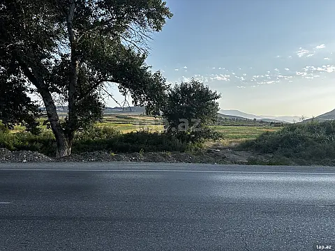 Satılır torpaq sahəsi — Şabran