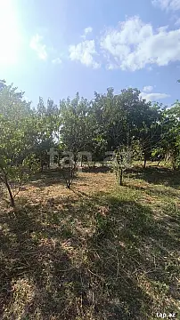 Satılır torpaq sahəsi — İsmayıllı
