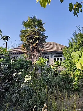 Satılır 3 otaqlı həyət evi 68 m² — Şirvan 3 otaq 68.00 m²